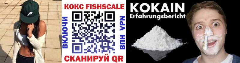 где найти Ершов KRAKEN как зайти Cocaine Эквадор