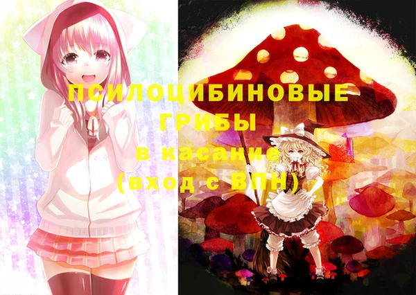 мет Новозыбков