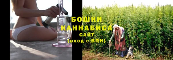 сатива Балабаново