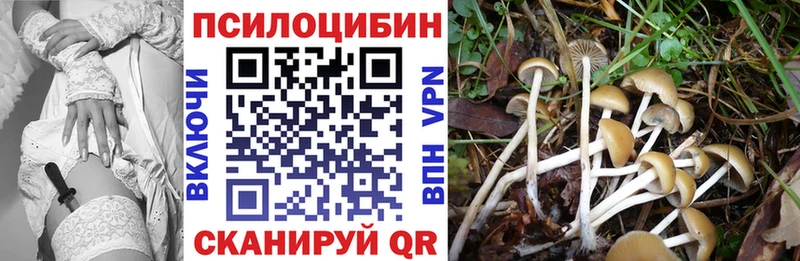 Псилоцибиновые грибы Psilocybine cubensis  MEGA ССЫЛКА  Ершов 